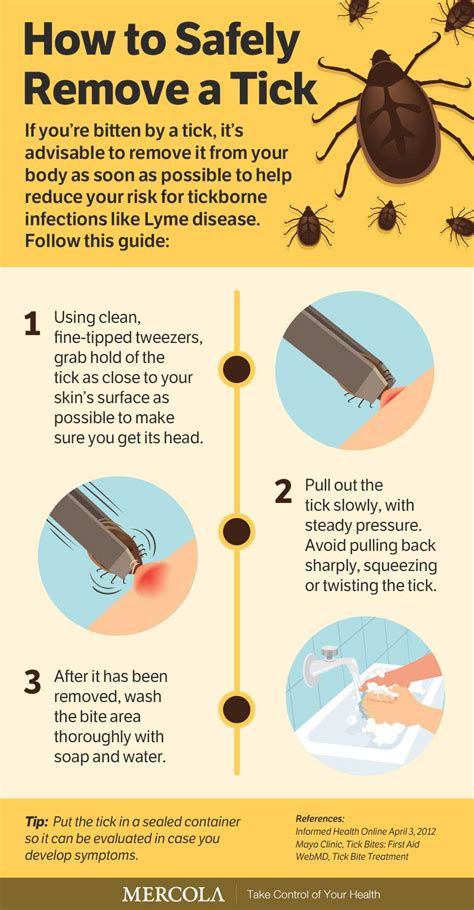 How to remove a tick from a human - To remove a tick safely: Use fine-tipped tweezers or a tick-removal tool. You can buy these from some pharmacies, vets and pet shops. Grasp the tick as close to the skin as possible. Slowly pull upwards, taking care not to squeeze or crush the tick. Dispose of it when you have removed it. Clean the bite with antiseptic or soap and water. 